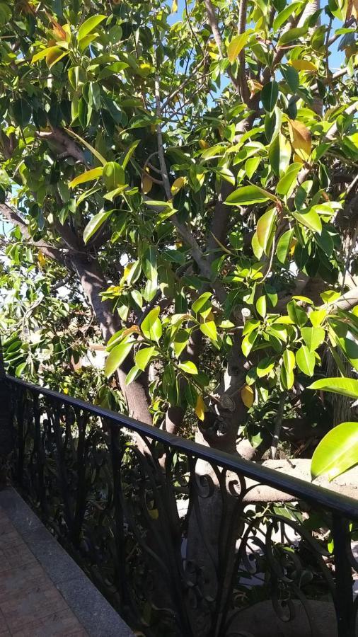 Appartamento La Palma 波萨达 外观 照片