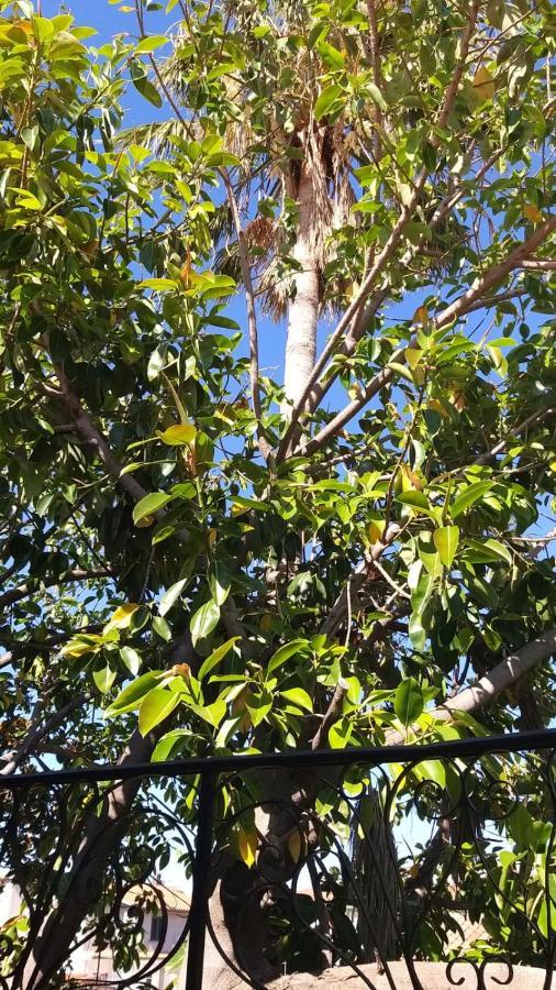 Appartamento La Palma 波萨达 外观 照片